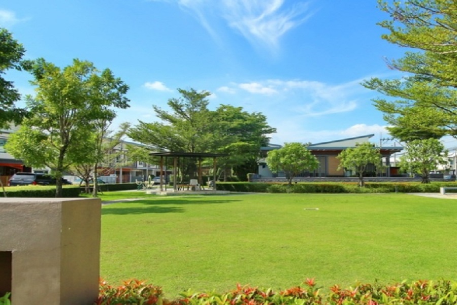 วิลเลต-ไลท์-ราชพฤกษ์-ปิ่นเกล้า