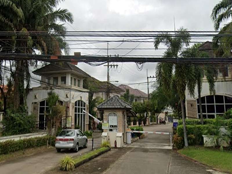 Tropical-Regent-1