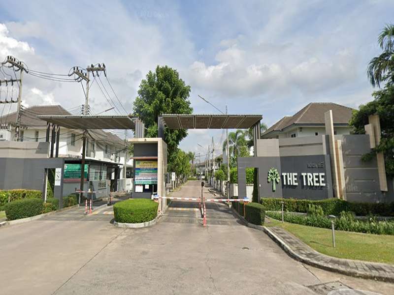 The-Tree-Village